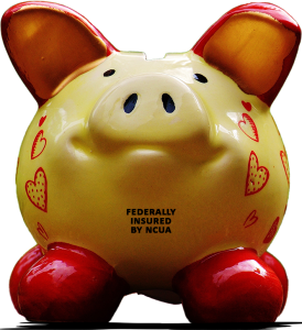 PIGGY transparent with NCUA language Piggy bank - savings and CDs