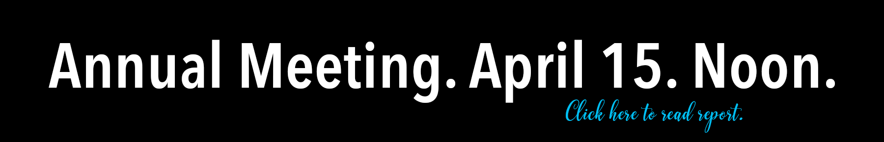 annual meeting report