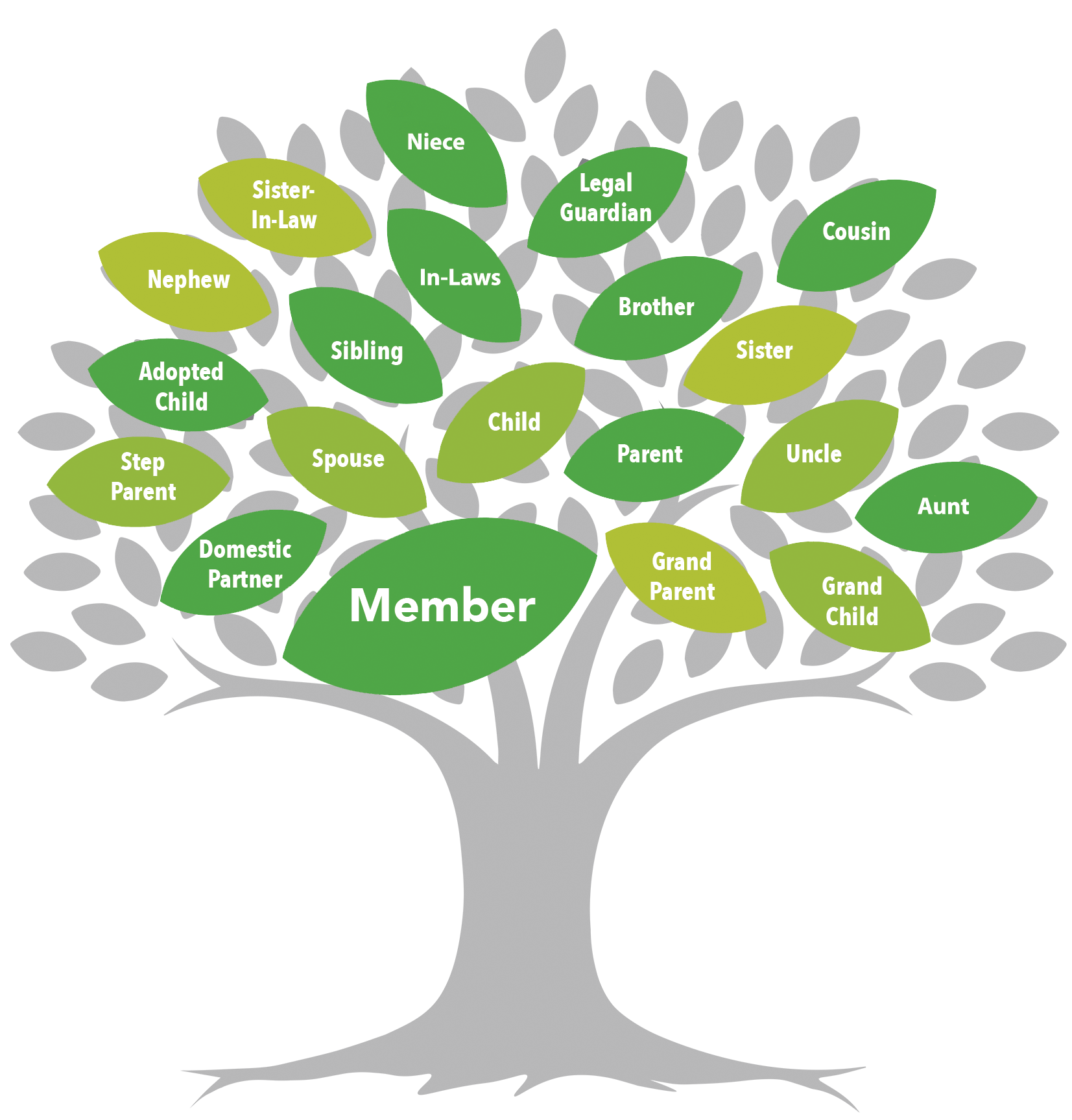 Veritas FCU Membership Family Tree