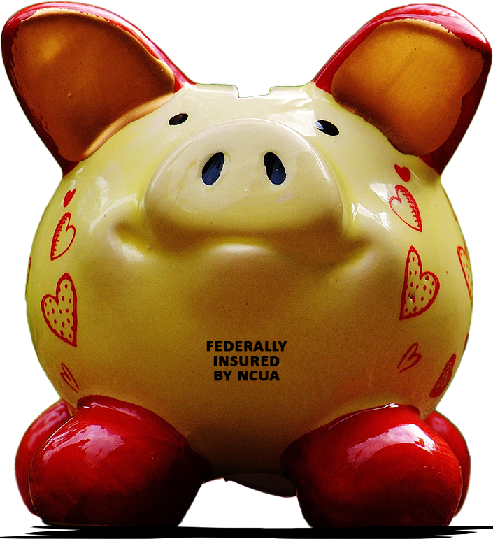 PIGGY transparent with NCUA language Piggy bank - savings and CDs