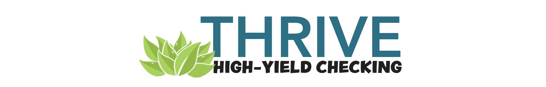 Thrive web banner 1 Thrive High-Yield Checking